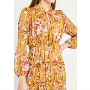 O.P.T Felicity Floral Sheer Chifon Dress with Slip